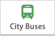 City Buses